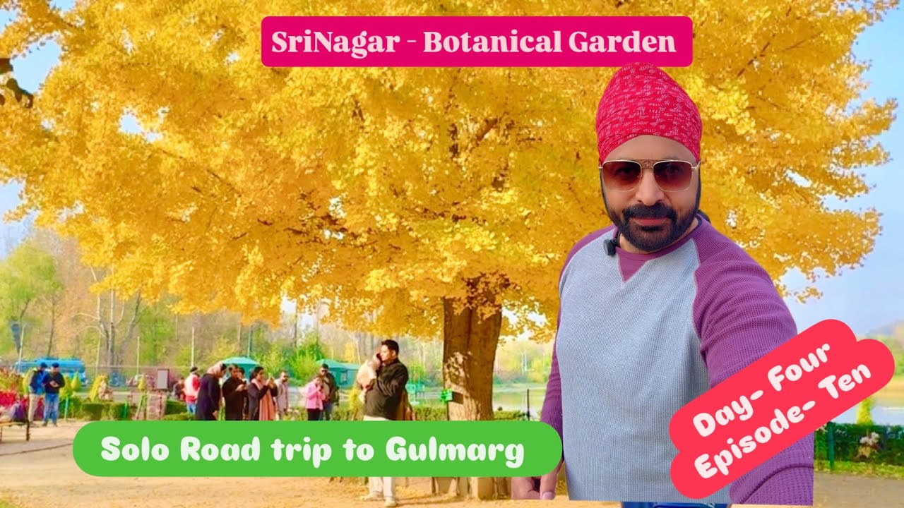 Etawah to Gulmarg | Solo Trip | Thar Roxx | Day 4 | Srinagar- Botanical Garden | 9 Nov 25| Epi 10