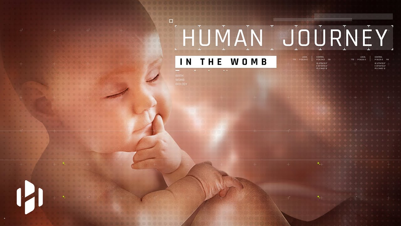 Human Journey in the Womb