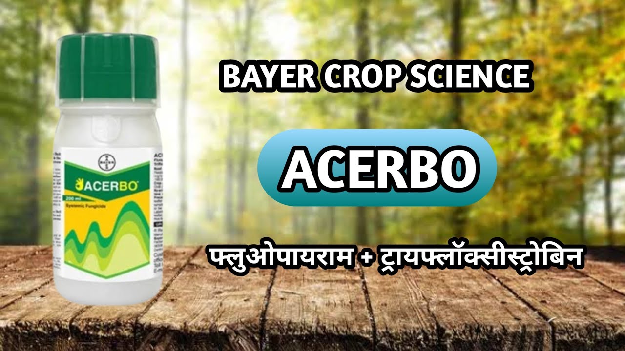 Acerbo fungicide | Bayer acerbo fungicide | Bayer crop science best product 