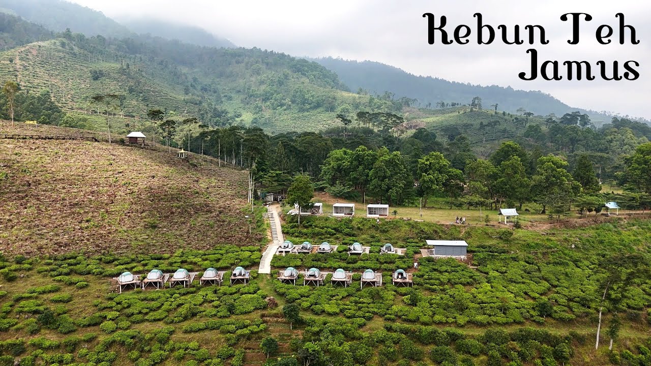 Pemandangan Kaki Gunung Lawu👍 Agrowisata Kebun Teh Jamus Ngawi
