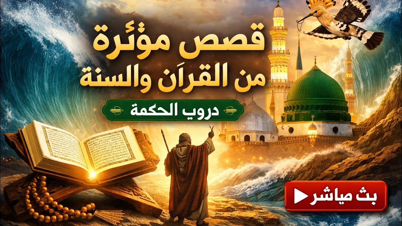 دروب الحكمة | قصص من القرآن والسنة تهزّ القلوب وتوقظ العقول