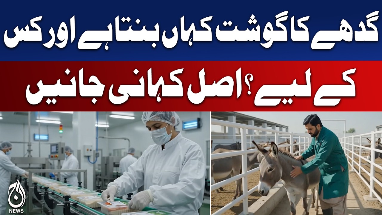 Donkey Meat Scandal | Illegal Meat Business | Pakistan Food Safety Alert - Aaj News