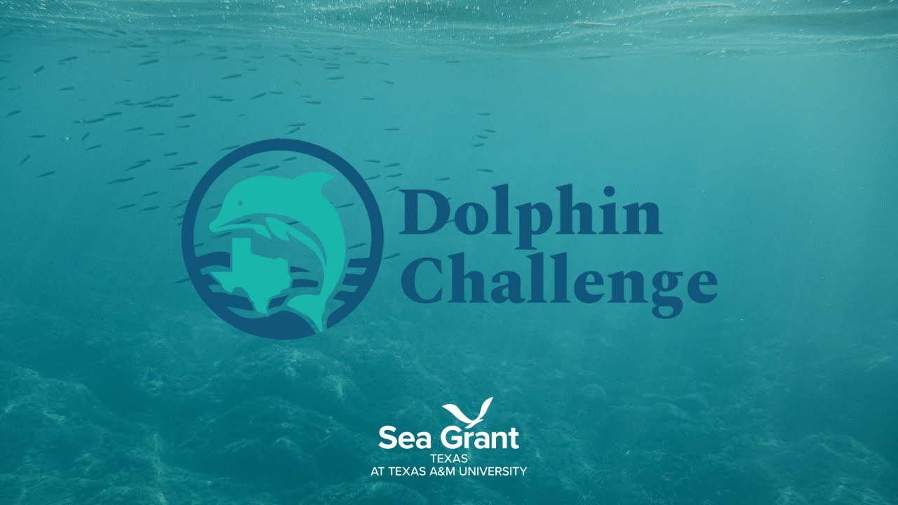 Dolphin Challenge - Texas Sea Grant