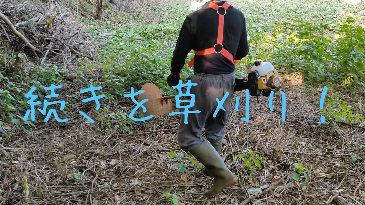 前回の続きを草刈り！