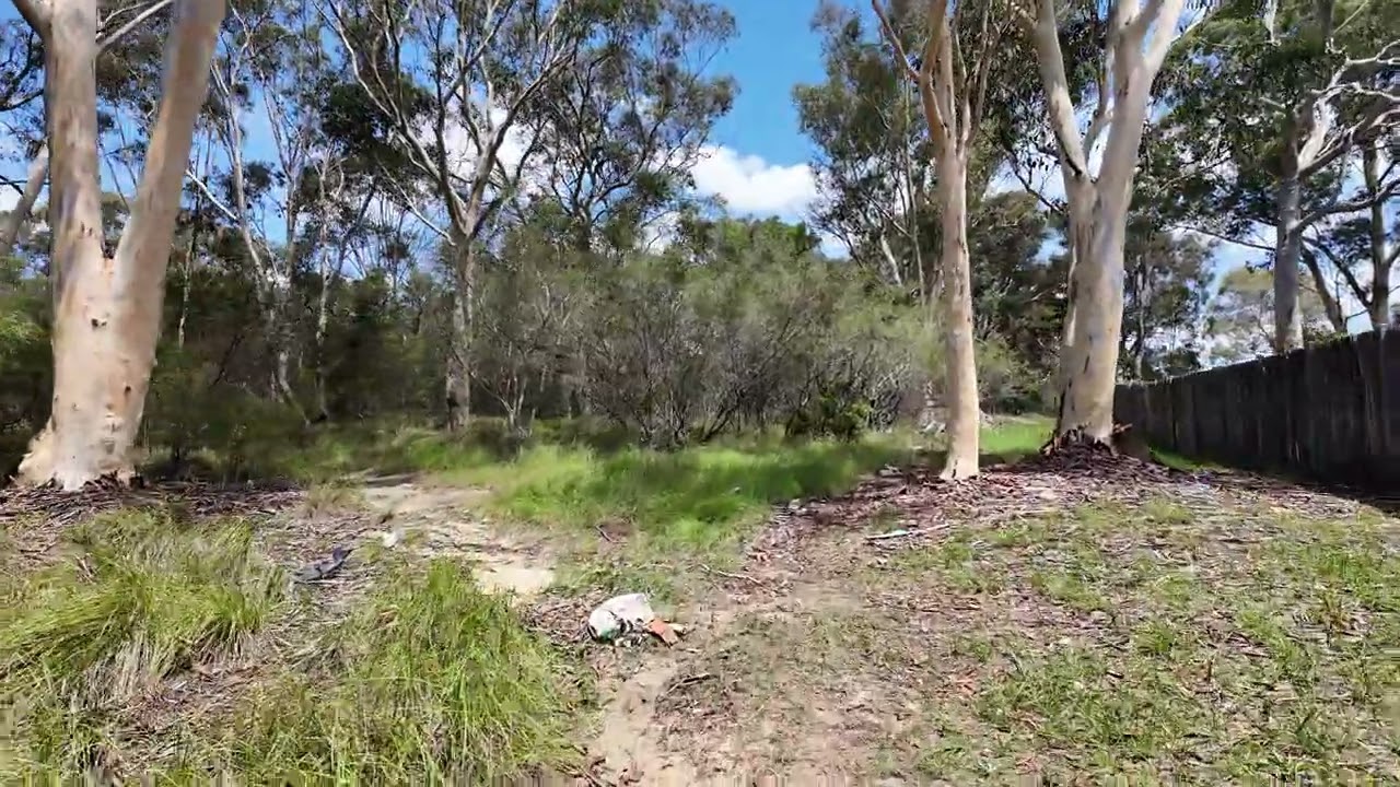 From my house to the river (bush walking  sydney Australia)