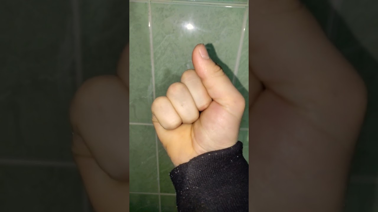 #funny 4 02. 2023