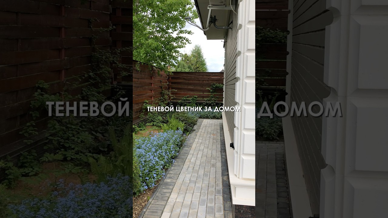 Что посадить за домом у забора?