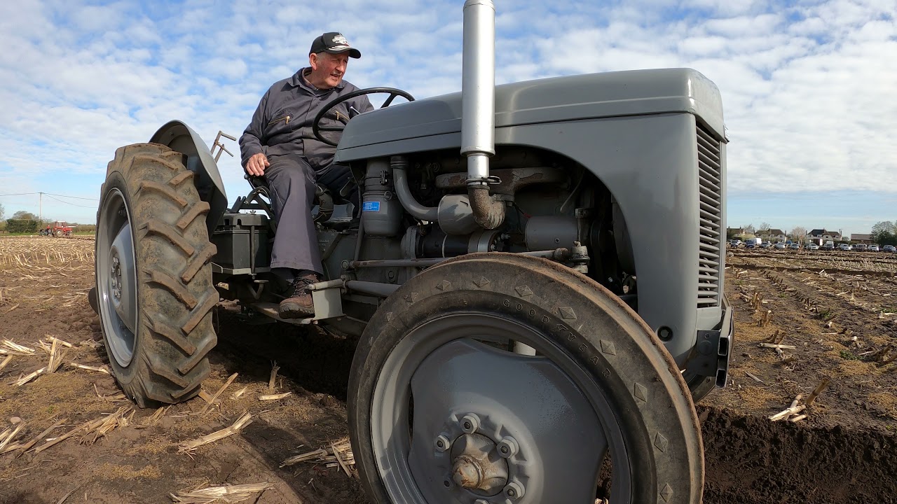 1954 Ferguson TEF20 2.1 LItre 4-Cyl Diesel Tractor (28HP) With Ferguson Plough