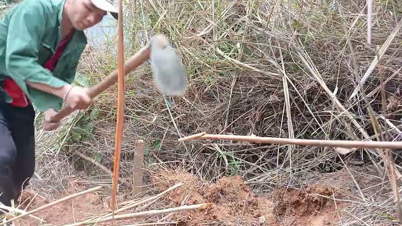 Đào Lại Hàng Dúi Lần Thứ 3 Sau 2 Lần Thất Bại Và Cái Kết Lần 3 ?