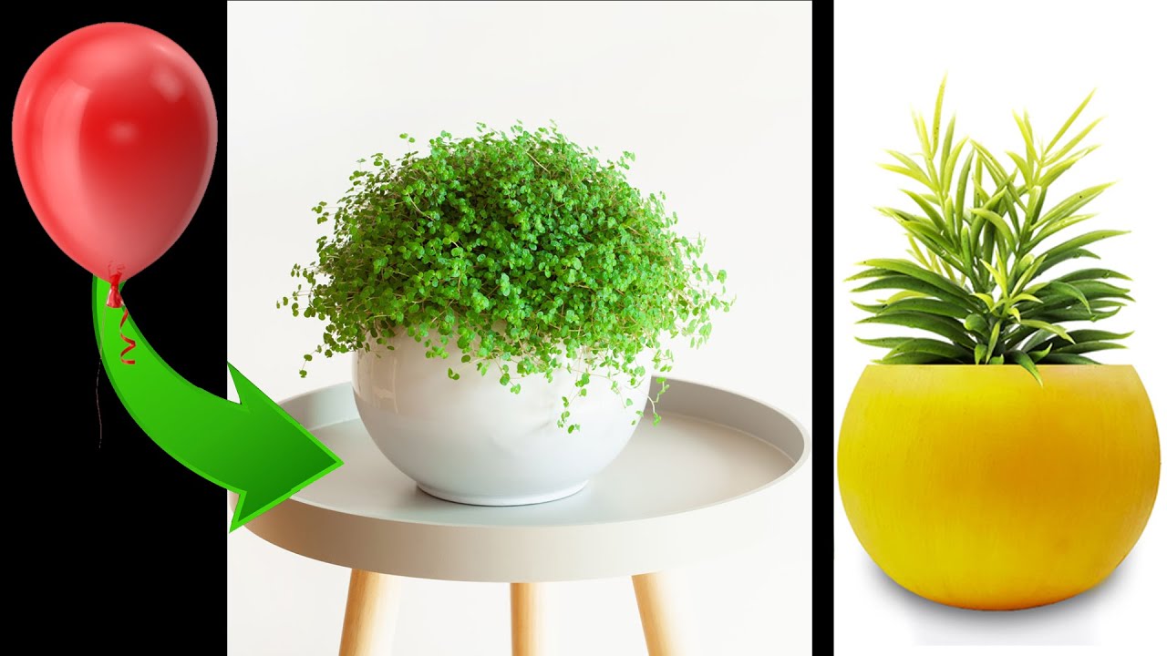 Saksı Nasıl Yapılır? Alçıdan Saksı Yapımı #saksı #geridönüşüm