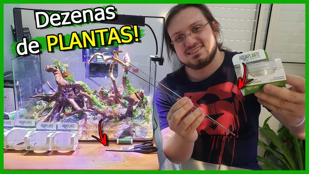 Fizemos o PLANTIO do Aquário Plantado de INICIANTES!