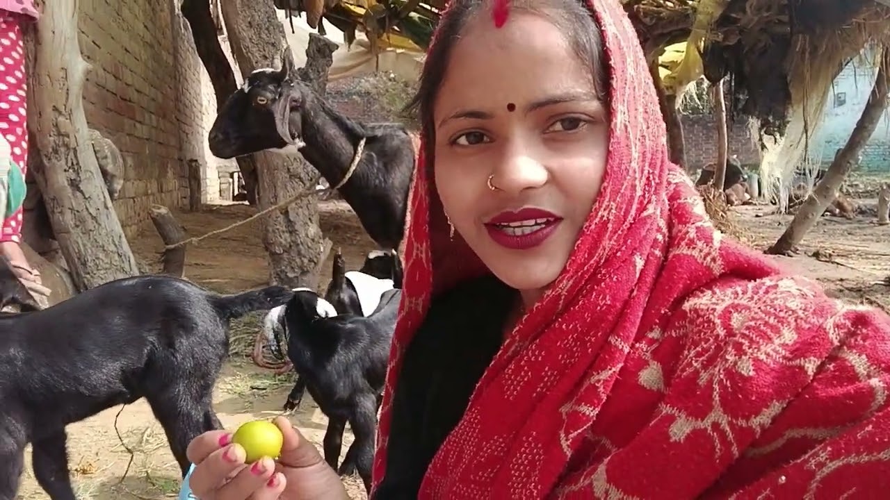 प्लीज सपोर्ट में