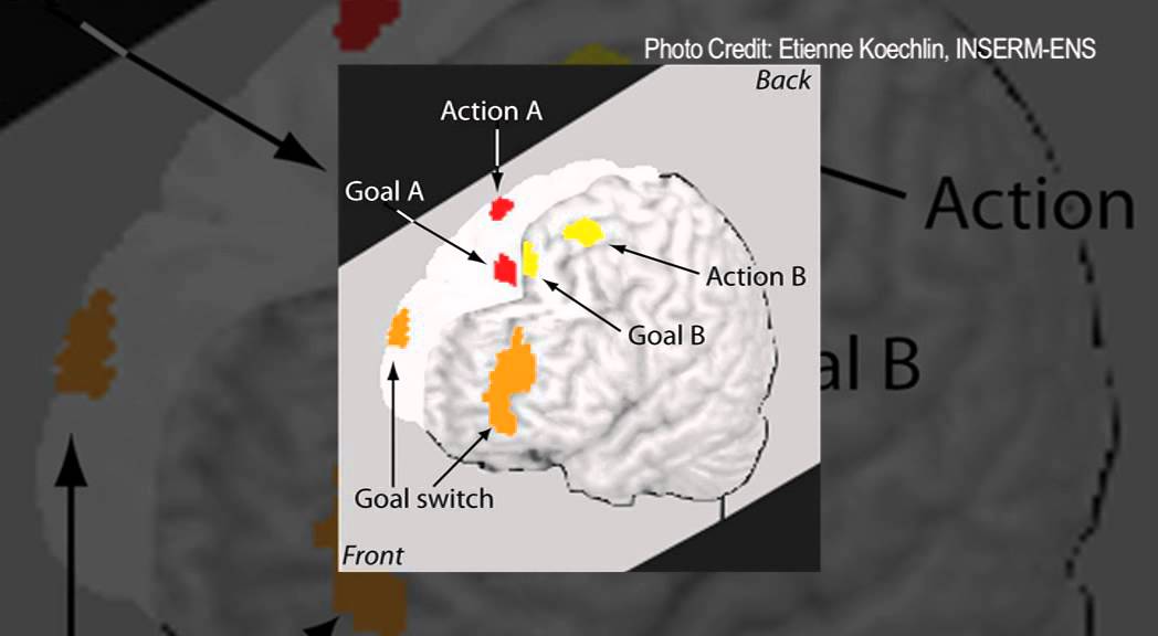 Can the brain really multitask?
