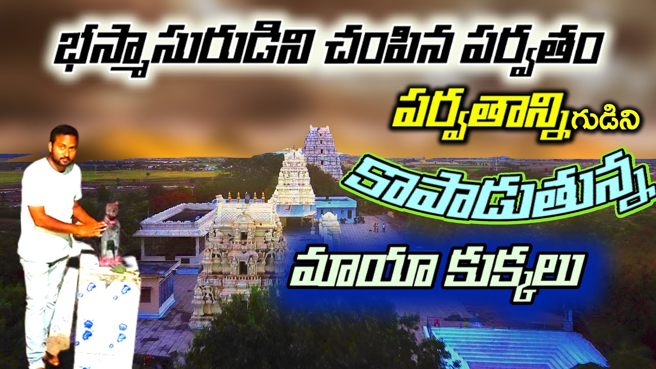 భస్మాసురుడిని భస్మం చేసింది ఈ పర్వతం పైనే.. || Mopuru Devalayalu || Mohanagiri Parvatham