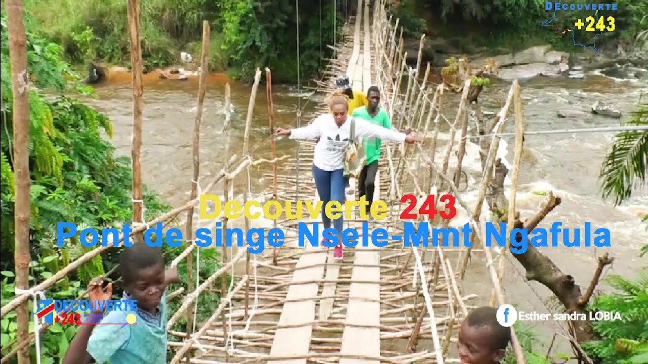 Suspendus entre Histoire et Nature :Exploration du Pont de Singe de Nsele à Mont Ngafula