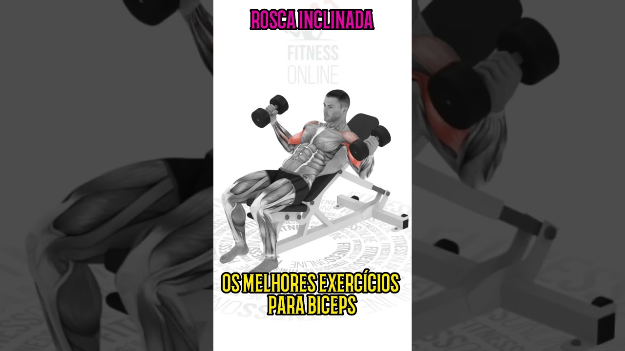 OS MELHORES EXERC&Iacute;CIOS PARA BICEPS