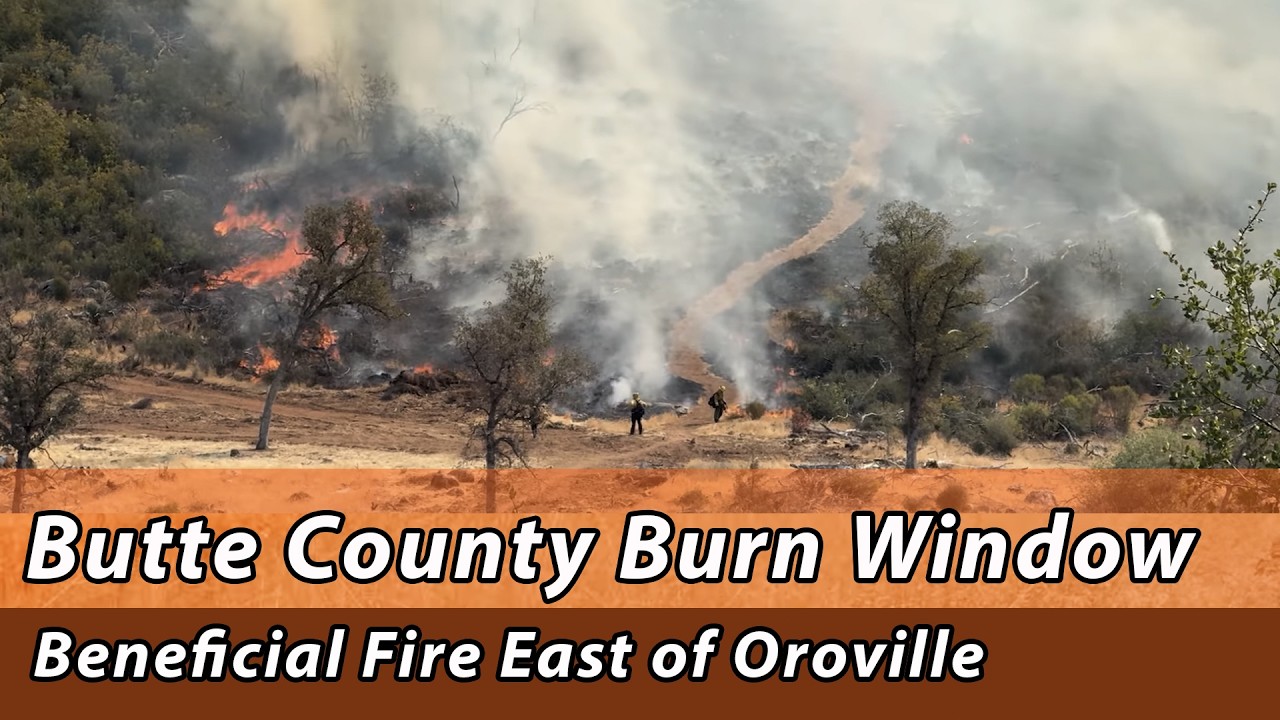 Полезный пожар к востоку от Оровилла