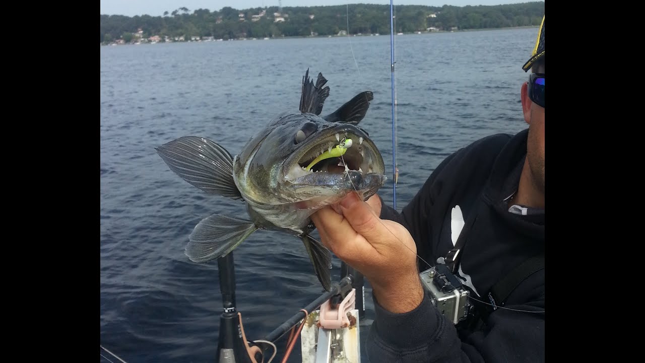 Pêche aux leurres au lac de Lacanau #session fin m