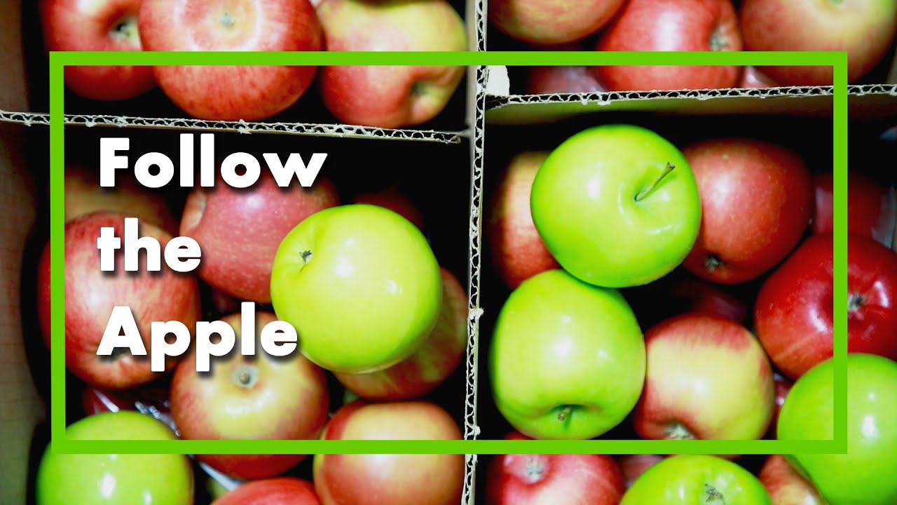 Follow the Apple | Houston Food Bank's Distribution Process