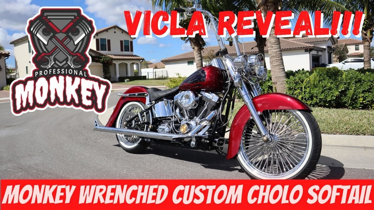 Harley Davidson Cholo Bike Reveal - Custom Heritage Softail Vicla