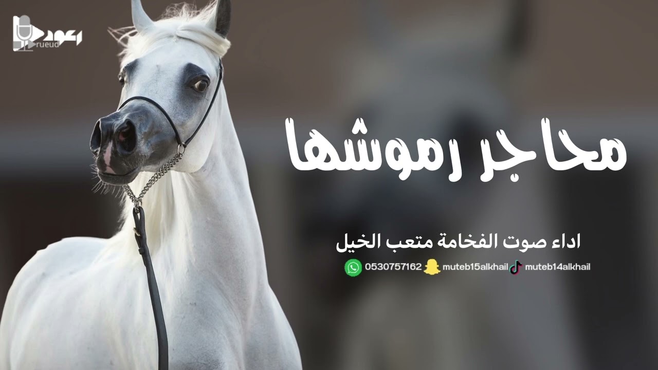 شيلة محاجر رموشها آداء صوت الفخامه متعب الخيل جديد2025حصرياً