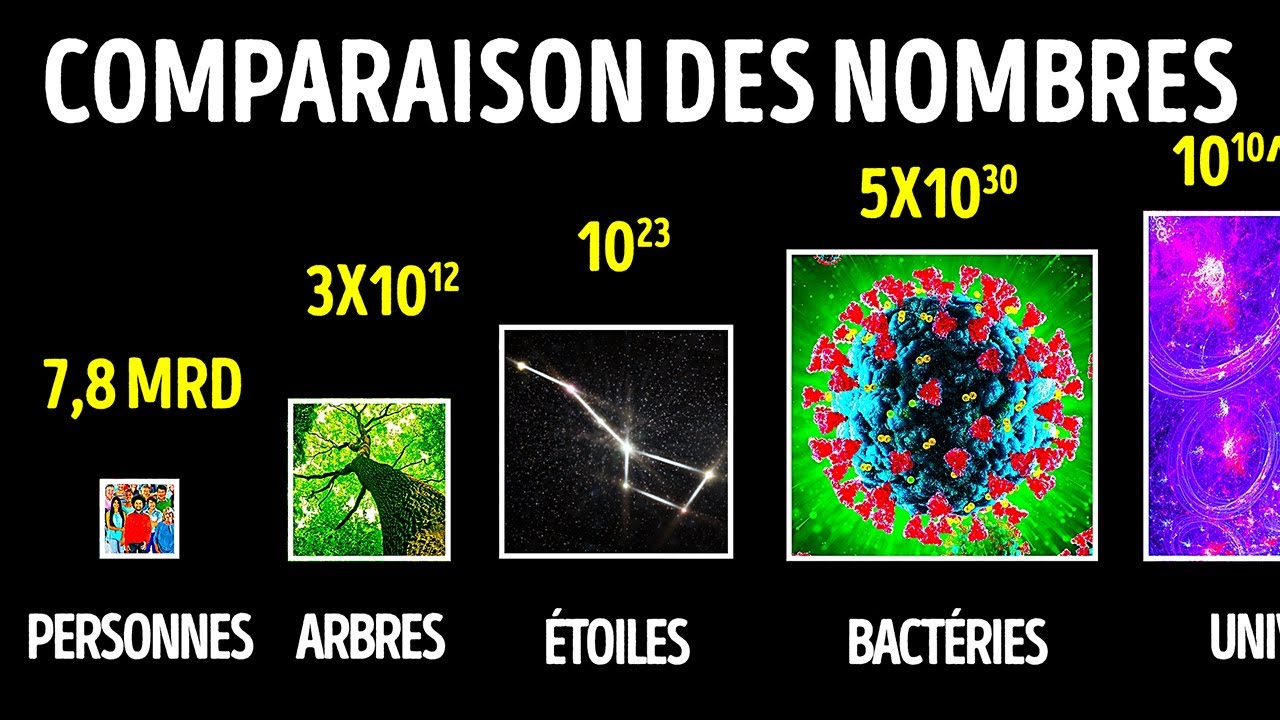 Comparaison des très grands nombres (et leur signification)