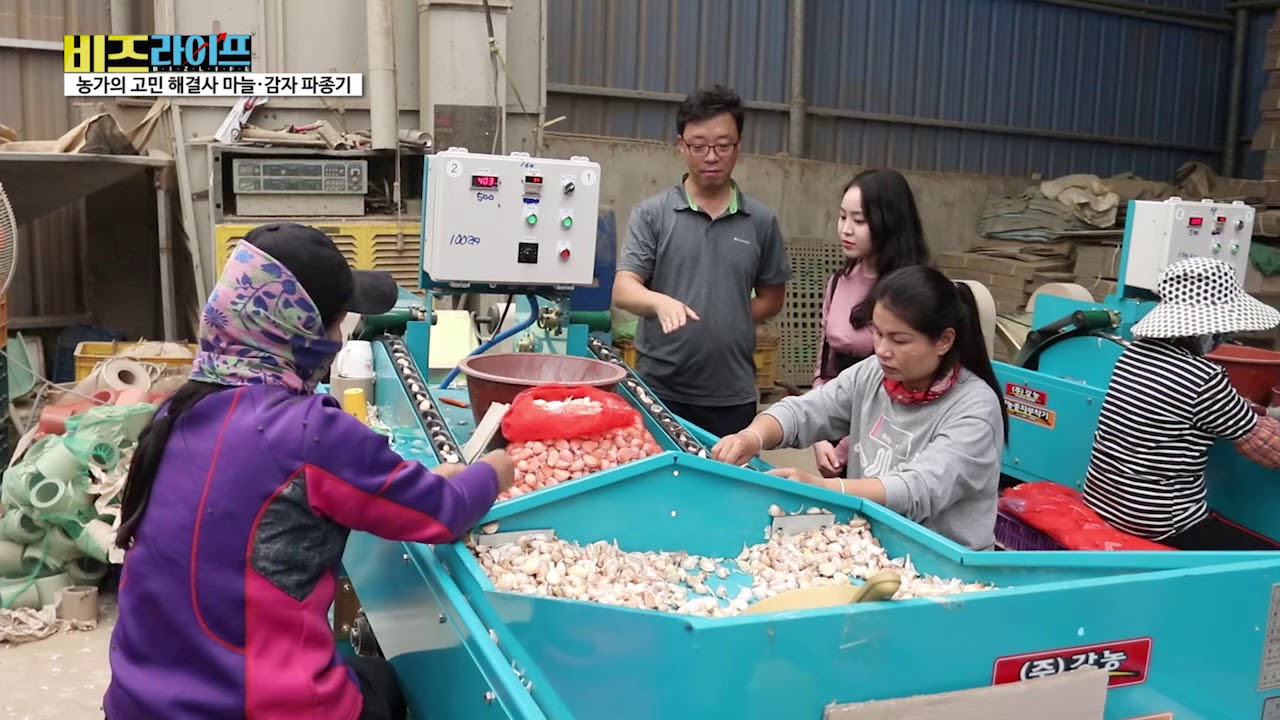 YTN비즈라이프 강농 마늘파종기 감자파종기