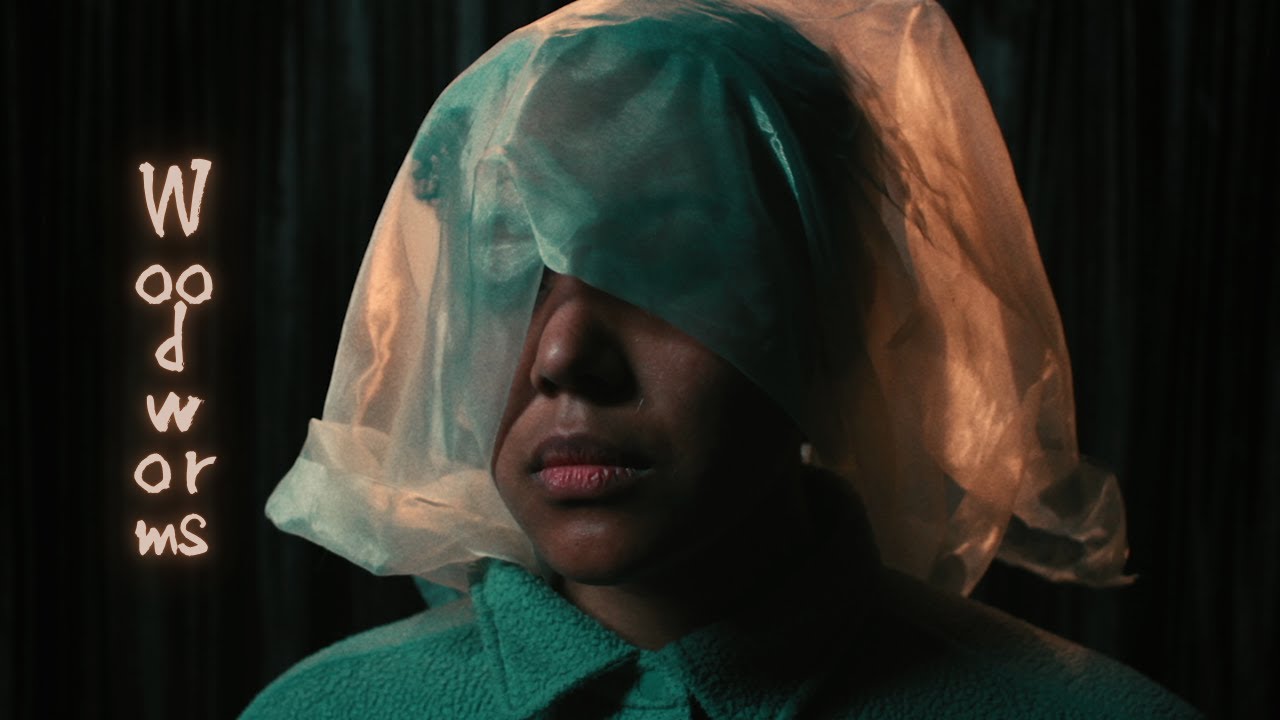 Pixilation Short Film | Woodworms