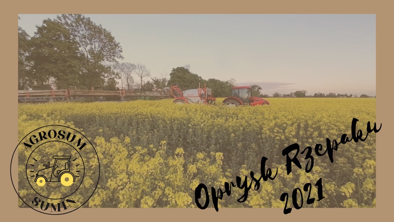 Oprysk rzepaku 2021 🌾 Zetor 9641 Forterra 🔥🔥 Gaspardo Campo 3200 ☣️☣️