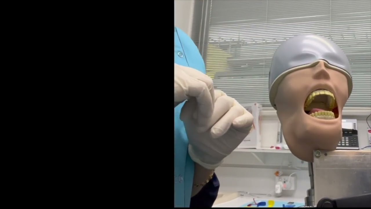 ADC PRACTICAL EXAM- X-RAY TASK by Sarah Hussein