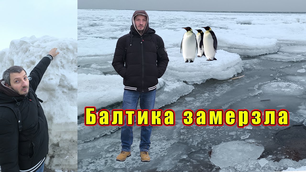 Такое было последний раз в 1979 году. Балтика не Арктика, но свои 