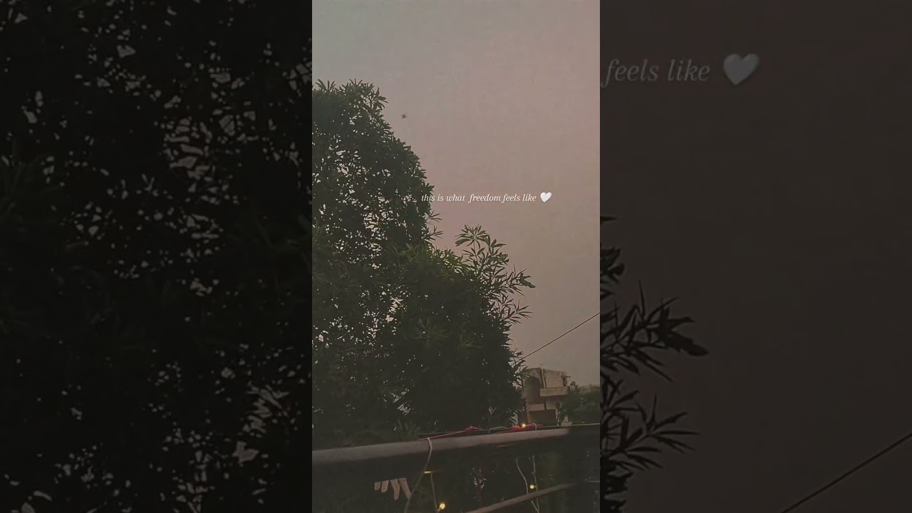 AestheticVibes#HeartfeltMoments#SoftMusicEdit#VintageAesthetic#FeelTheVibe#CinematicMood