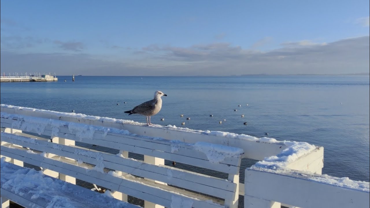 Winter Walk Sunny Day Sopot Pier Poland 4k