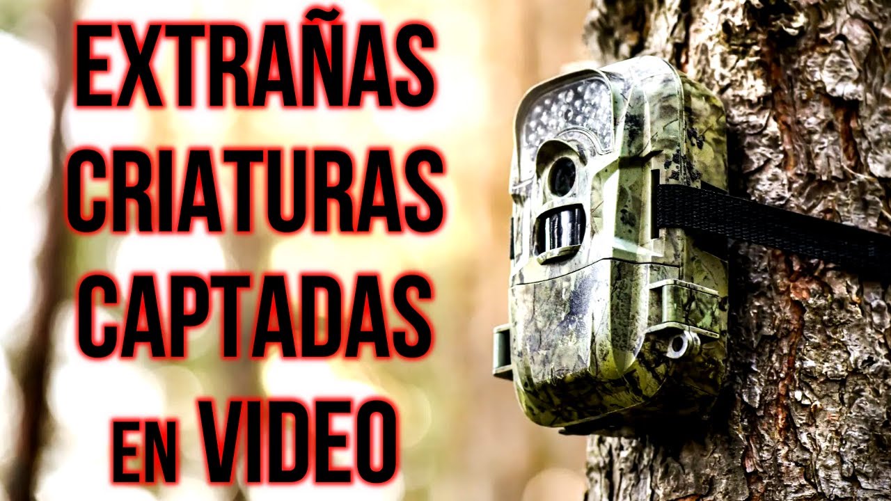 Extrañas criaturas captadas en Norteamérica - Criptozoología