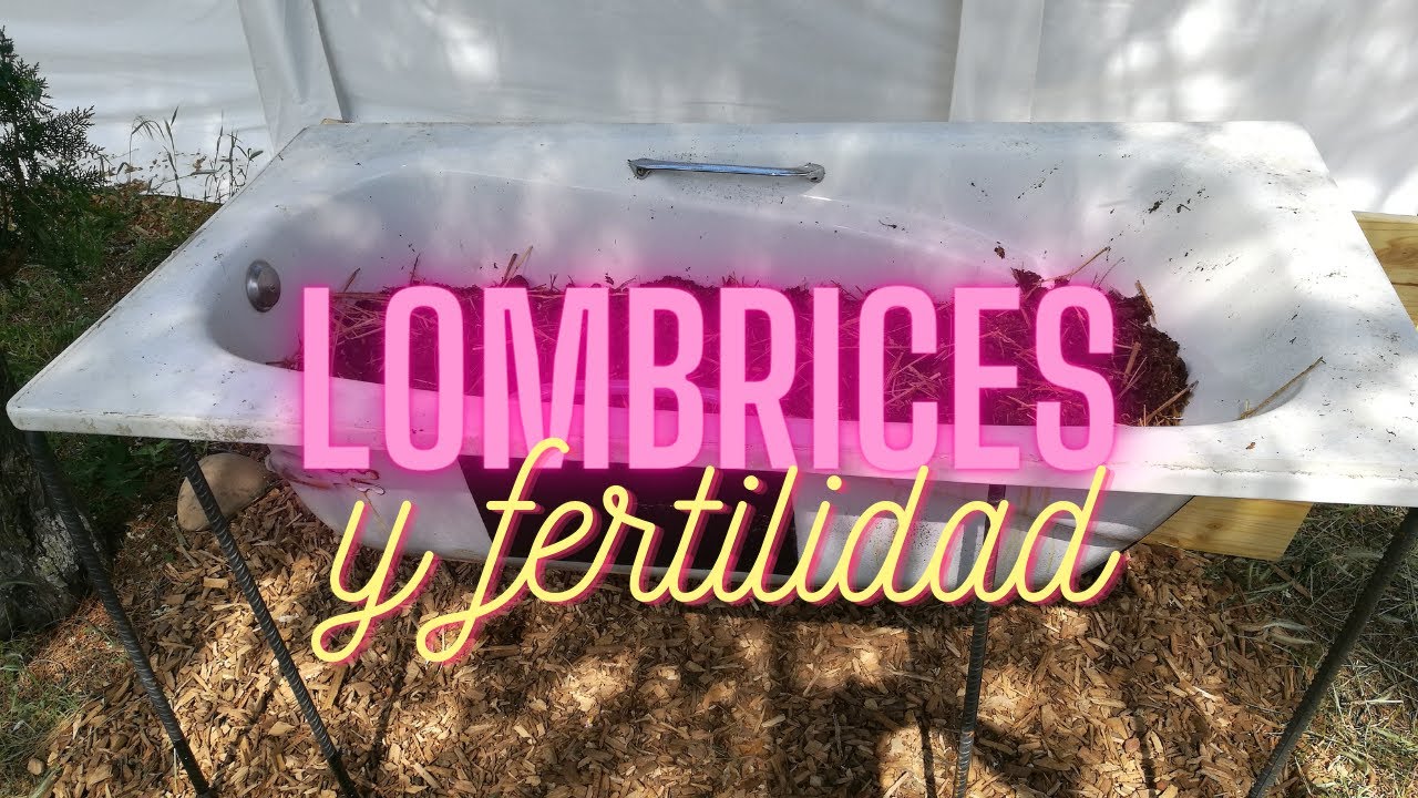 Su Majestad la Lombriz | Fertilidad en la huerta