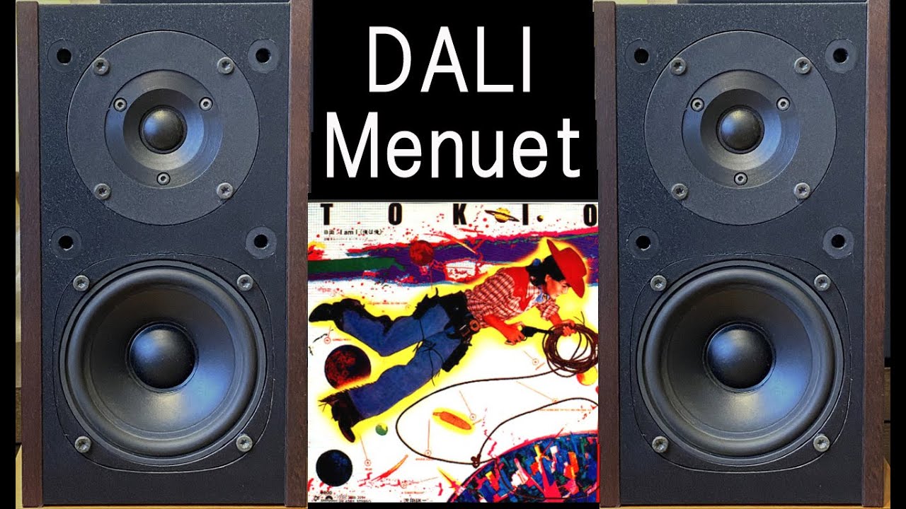 DALI　150　Menuet　ジュリー　沢田研二　灰とダイヤモンド　渡り鳥はぐれ鳥　ストリッパー　ＴＯＫＩＯ　空気録音