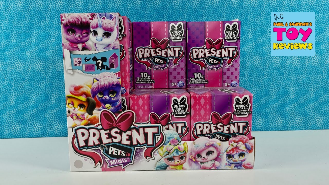 Распаковка плюшевых игрушек Present Pets Minis Blind Box Surprise
