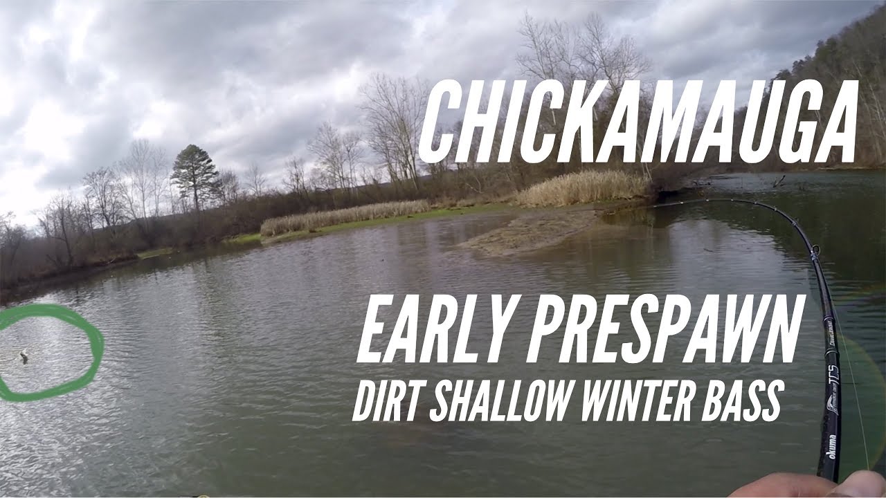 HELP!!! Chickamauga: Late Winter/Early Prespawn Smack down!!!