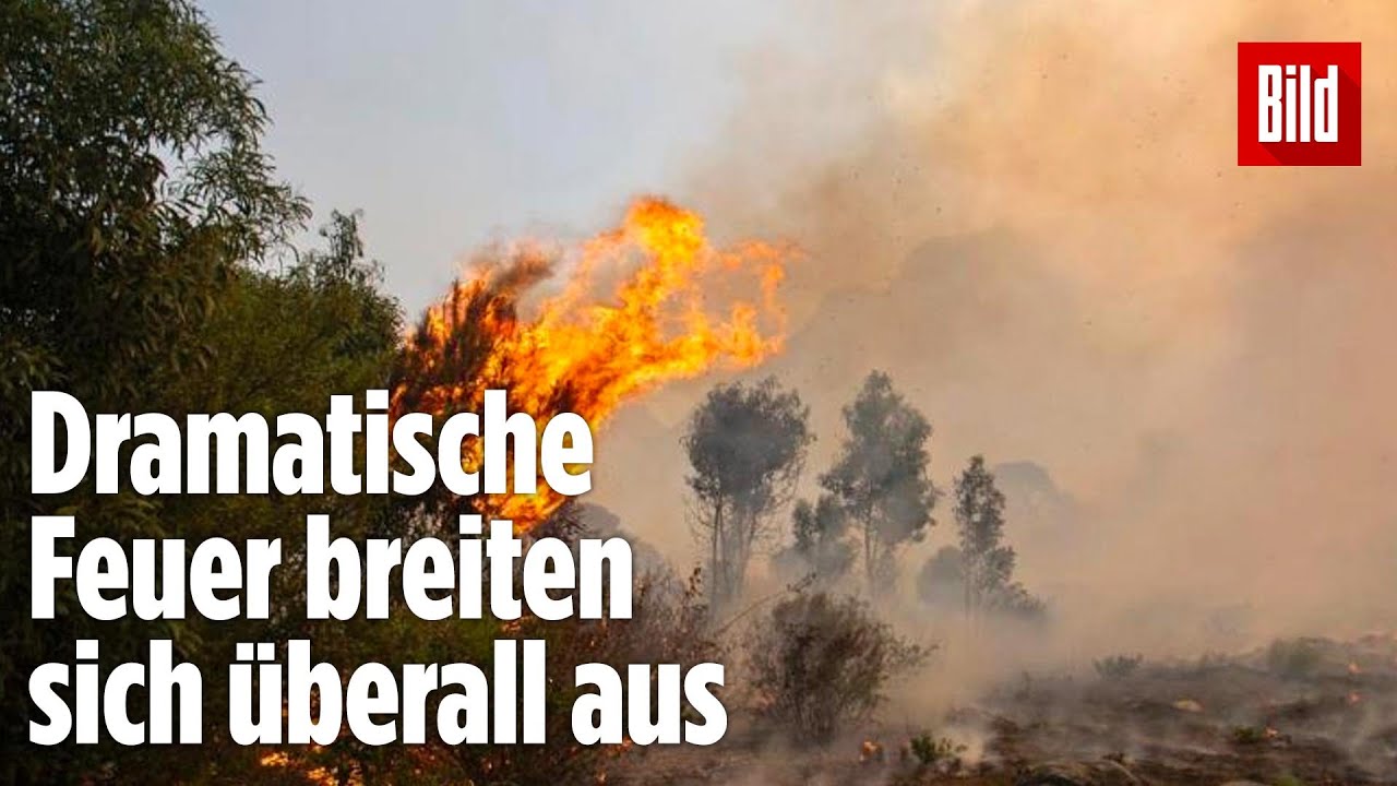 In Kapstadt: Feuer-Katastrophe an berühmten Wahrzeichen