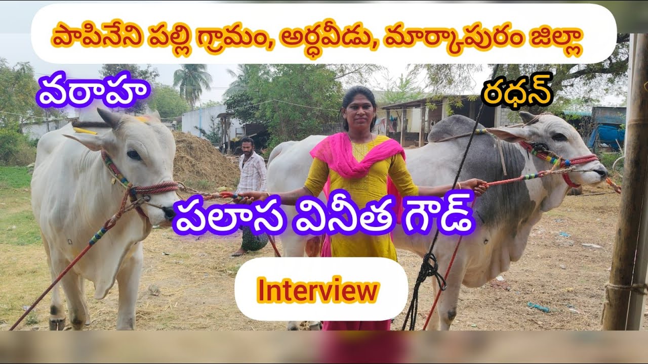 పలాస వినీత గౌడ్ గారితో live ఇంటర్వ్యూ ....(Transgender)