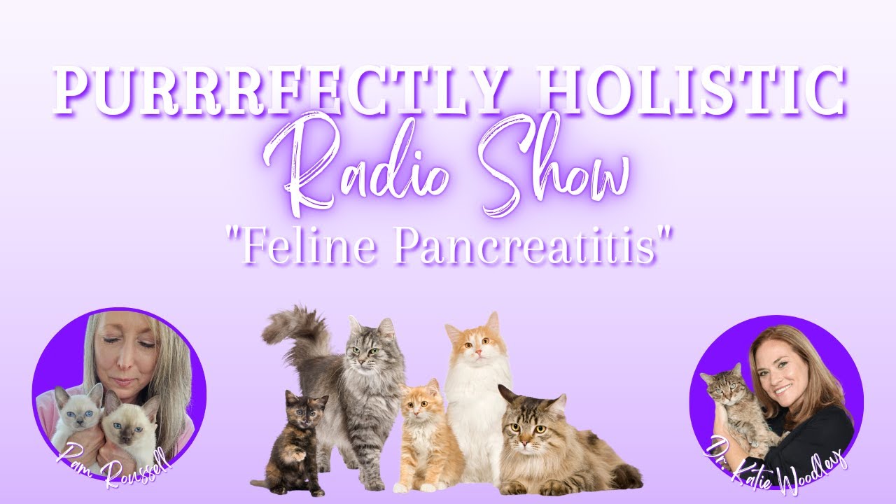Feline Pancreatitis | The Purrrfectly Holistic Radio Show