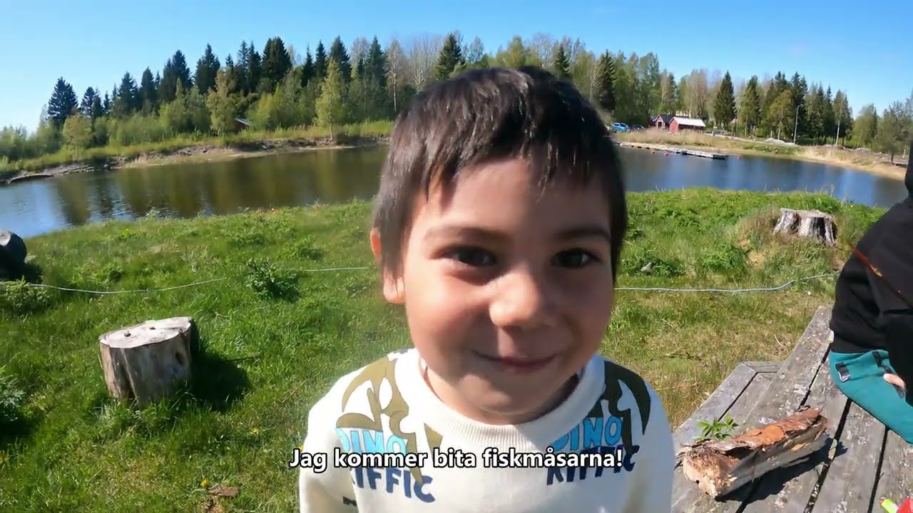 Fiskmåsarna tog våran mat!
