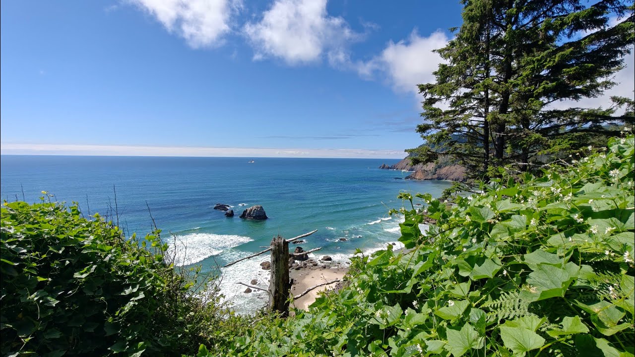 Ecola State Park experience.