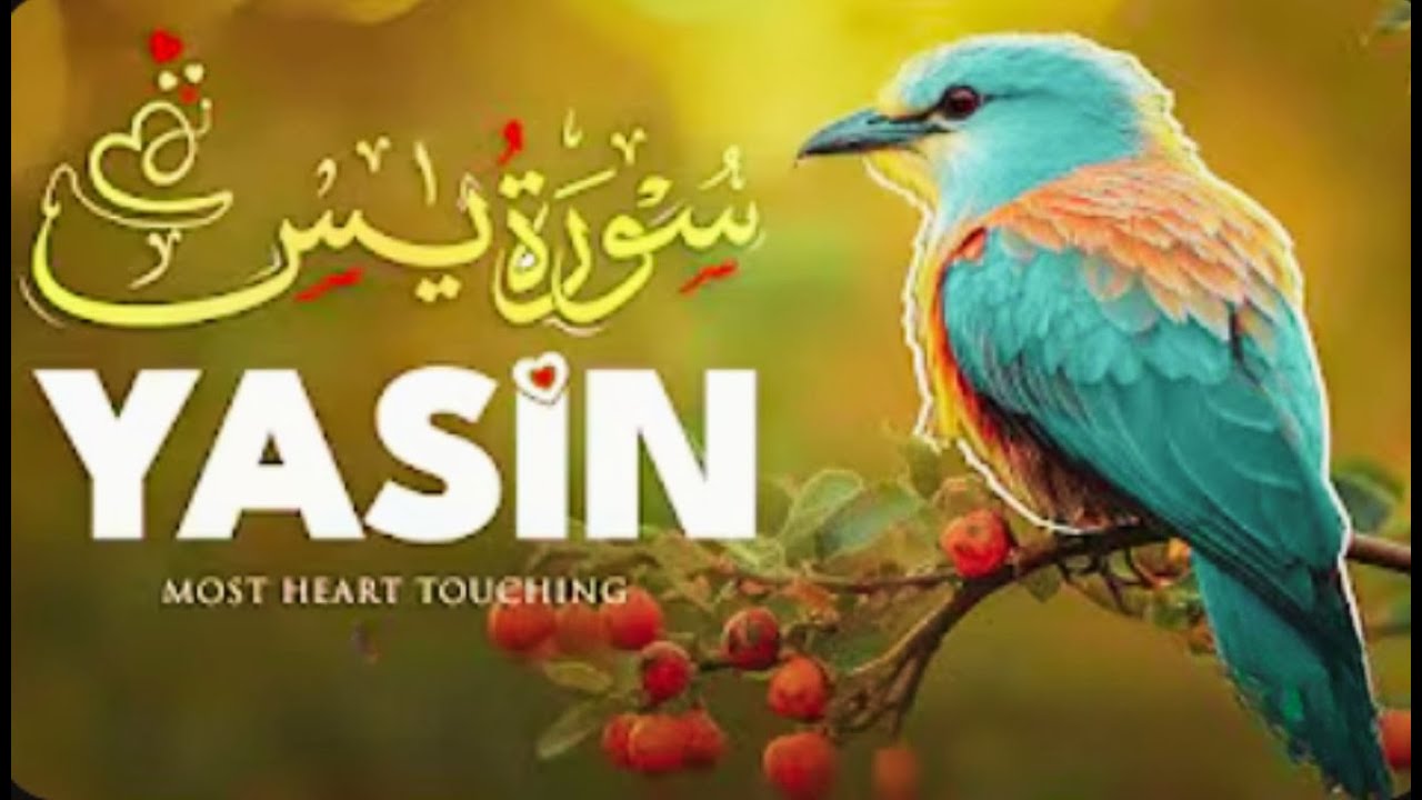 Relax Your Heart & Sleep Peacefully | Ultimate RELAXING Quran to Ease Your Soul