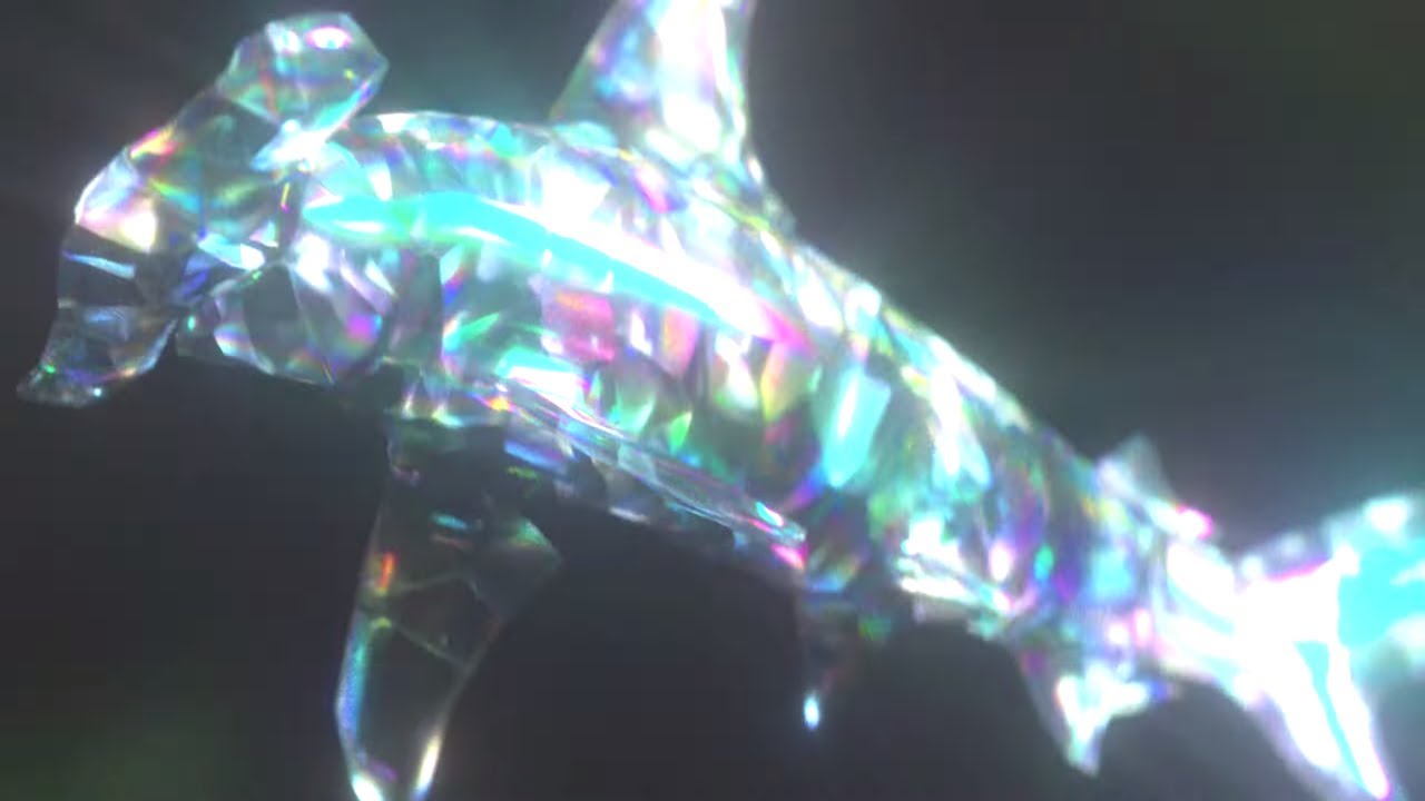 [MUSIC VIDEO] Sharks - Opal