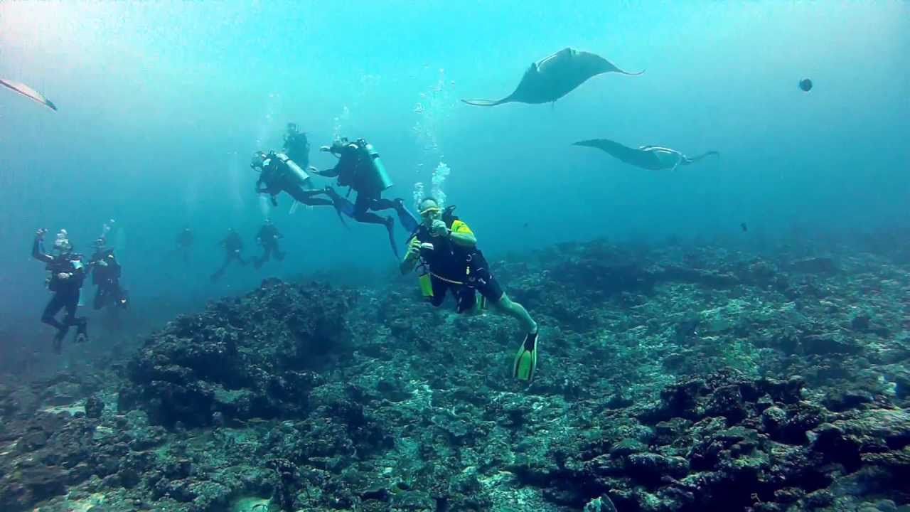15 Minutes best of Maledives Diving Tour, Full HD, North Male Atoll, South Male Atoll, Ari Atoll