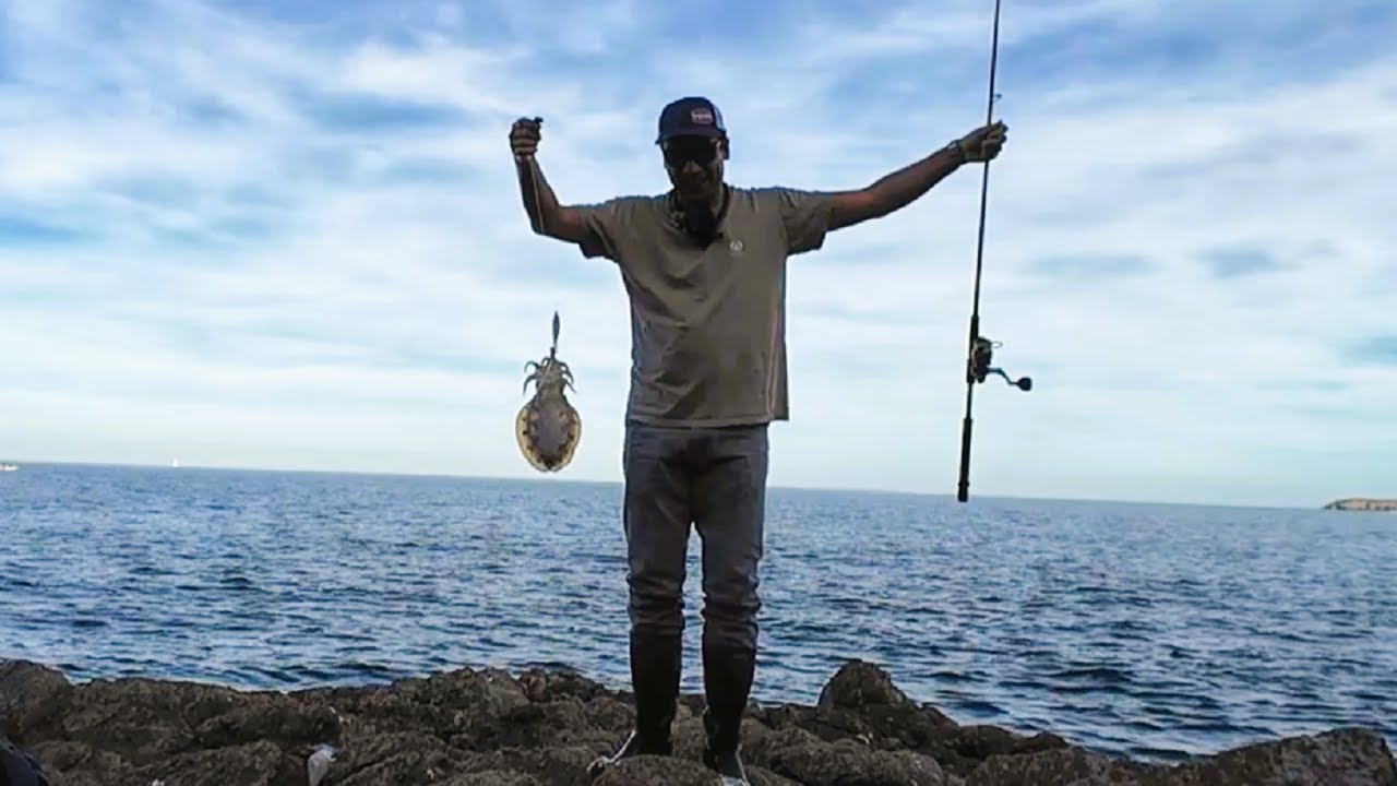 Pêche de seiches et calamars du bord en mer