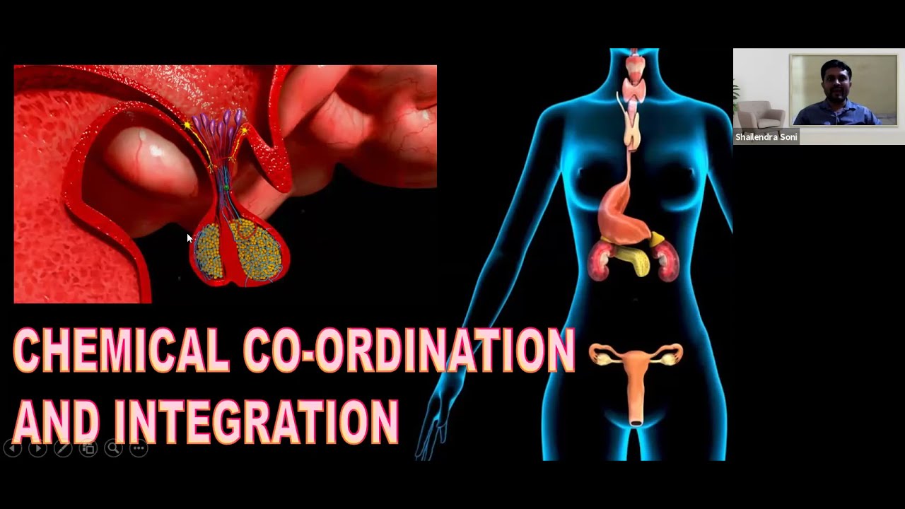 NEW L1 CHEMICAL COORDINATIONAND INTEGRATION CLASS12| NEET BIOLOGY  | XCHANGE INOS | S.SONI SIR CBSE