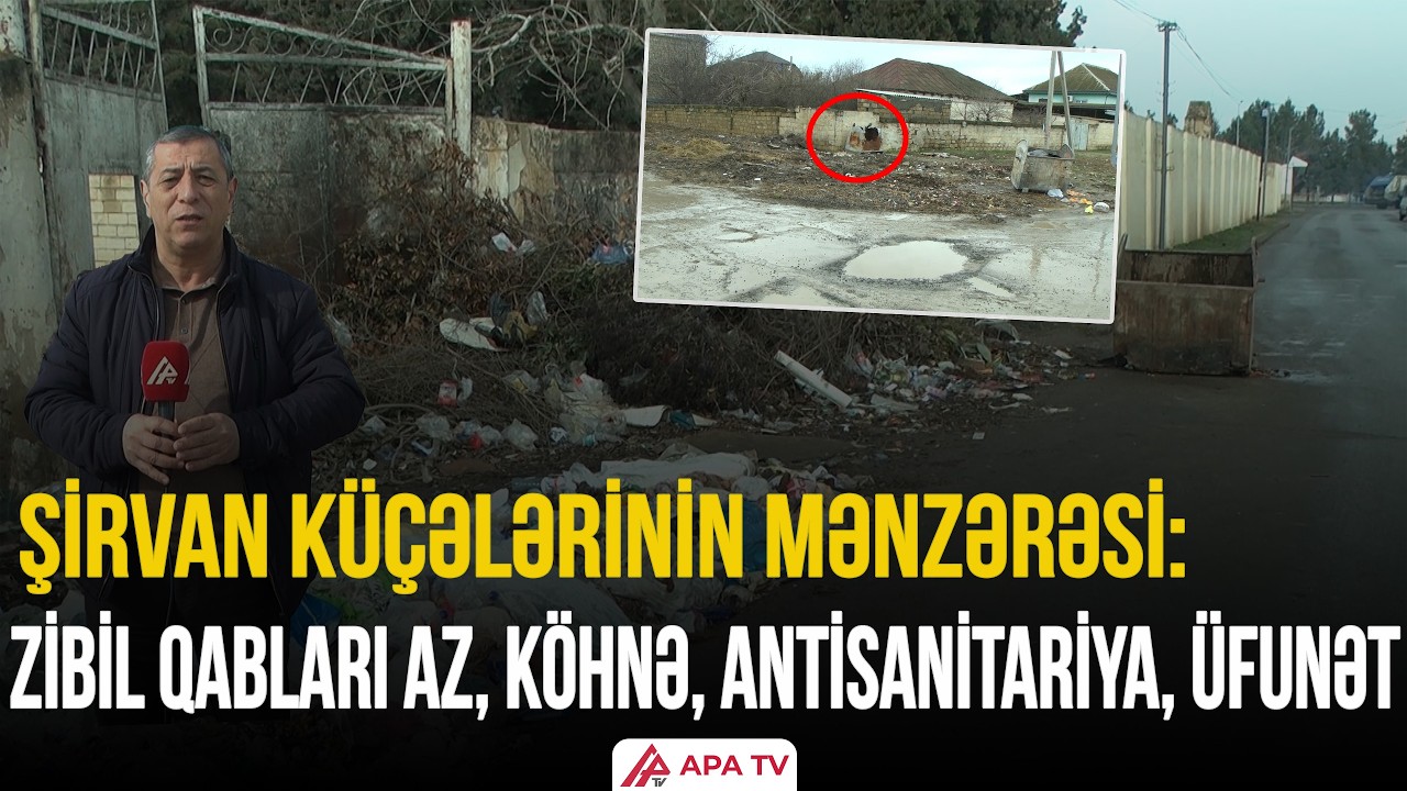 Şirvan şəhərinin bir sıra küçələrində zibil qalaqları xoşagəlməz mənzərə yaradıb | APA TV