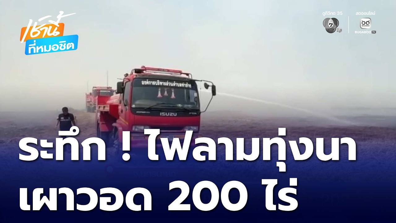 ระทึก ! ไฟลามทุ่งนากว่า 200 ไร่ | เช้านี้ที่หมอชิต